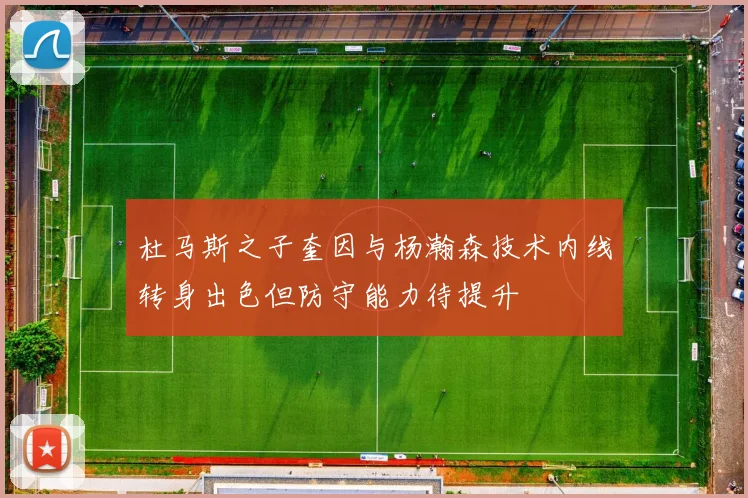 杜马斯之子奎因与杨瀚森技术内线转身出色但防守能力待提升