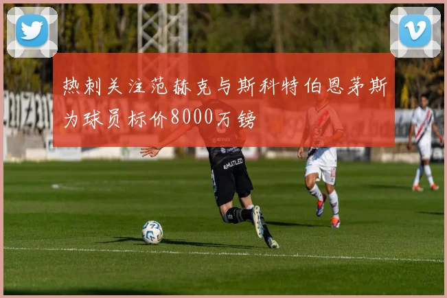 热刺关注范赫克与斯科特伯恩茅斯为球员标价8000万镑